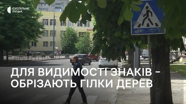 У Луцьку обрізають гілля дерев, щоб не перекривали дорожні знаки (відео)