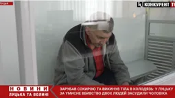 Зарубав сокирою та викинув тіла в колодязь: у Луцьку за вбивство двох людей судили чоловіка (відео)