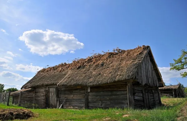 Байдарками по Волині: як підкорити мальовничий «Прип'ять-Стохід» (фото, відео)
