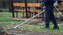 У волинських лісах прибрали зони відпочинку (фото)