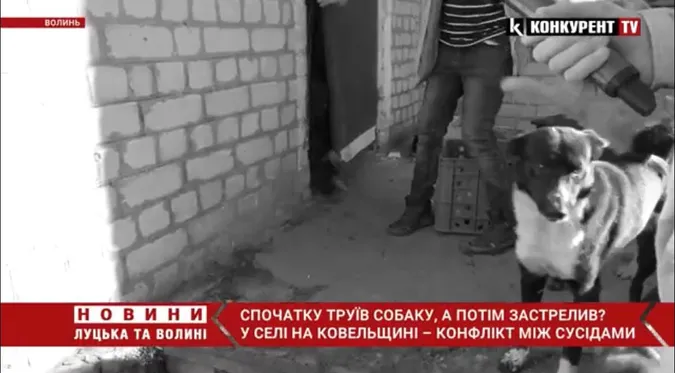 Труїв, кидав голки, а потім застрелив: на Волині чоловік звинувачує сусіда у вбивстві пса (відео)