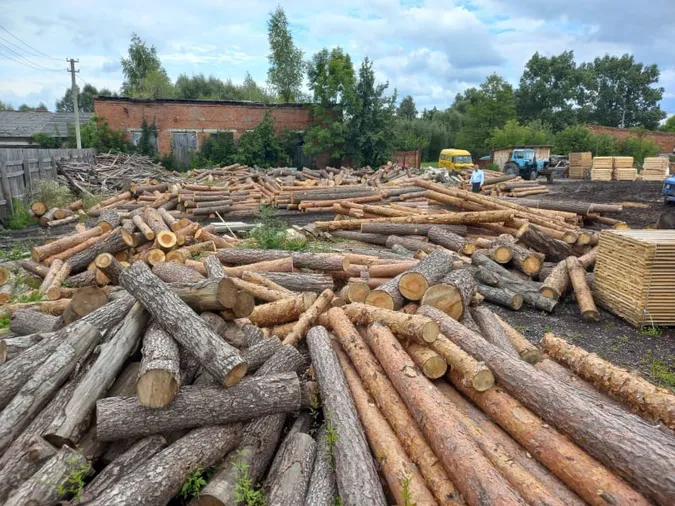 На Волині вилучили 120 кубометрів незаконної деревини (фото)