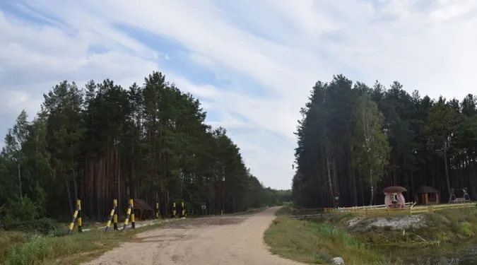 На Волині збудували і відновили 70 кілометрів лісових доріг (фото)