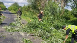 Недалеко від Луцька повалене дерево перекрило дорогу (фото)