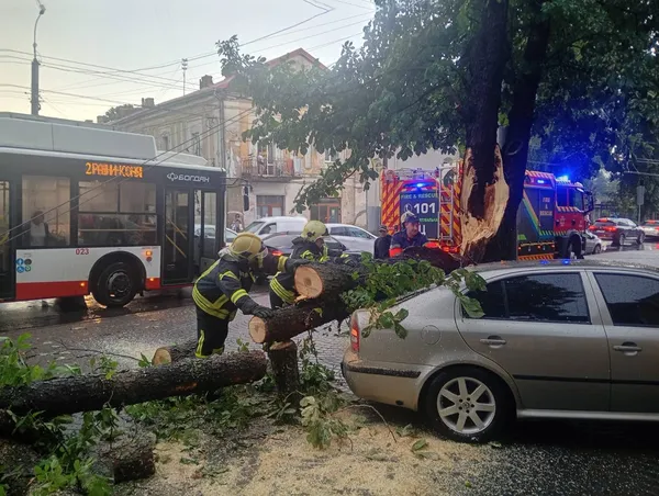 Після буревію у Луцьку рятувальники прибирали дерева з доріг і дворів (фото)