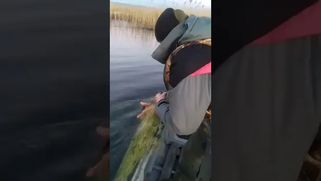 У Хрінниках з «нічийних» сіток звільнили риб і раків (відео)