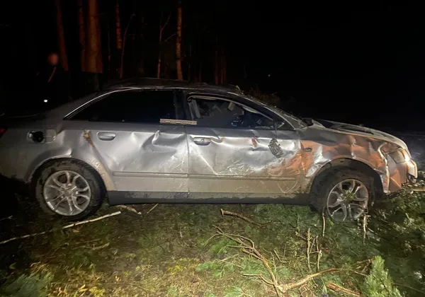 На Волині Audi злетіла у кювет – постраждали водій і пасажир (фото, відео)