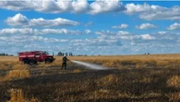 На Житомирщині через російську атаку вигоріло пшеничне поле