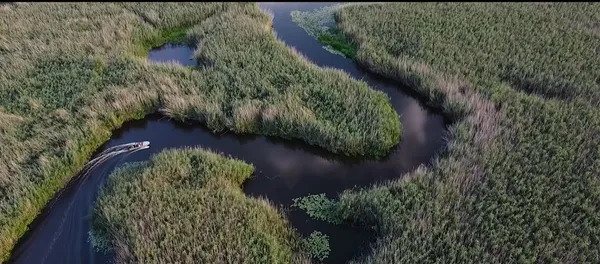 Аж подих захоплює: про Волинь зняли атмосферне кіно (відео)