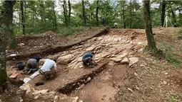 У Франції археологи знайшли «кельтську столицю» бронзової доби (фото)