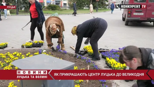 На луцьких клумбах уже висадили півтори тисячі квітів (фото, відео)