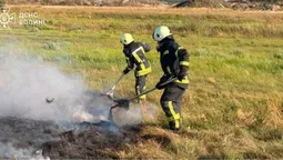 Майже 4 гектари у вогні: на Волині палали сухостій і торфяник (фото)