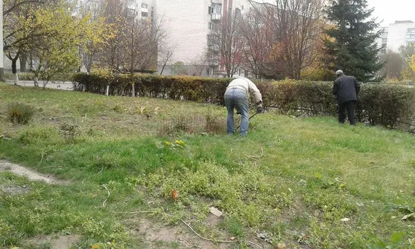 Муніципали борються з городами і парканами біля луцьких багатоповерхівок (фото)