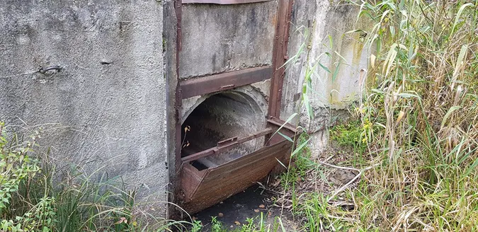 Літо закінчилося, а Світязь досі міліє (фото)