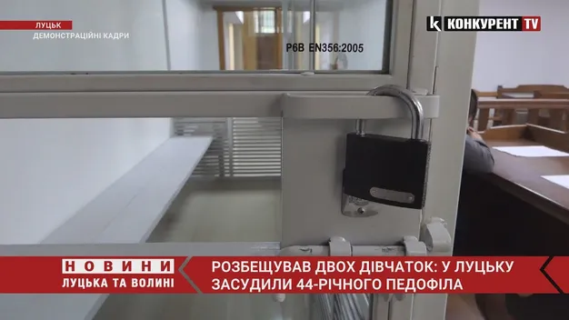 Покликав у котельню «погодувати кошеня»: лучанин сів на вісім років за розбещення малолітніх (відео)