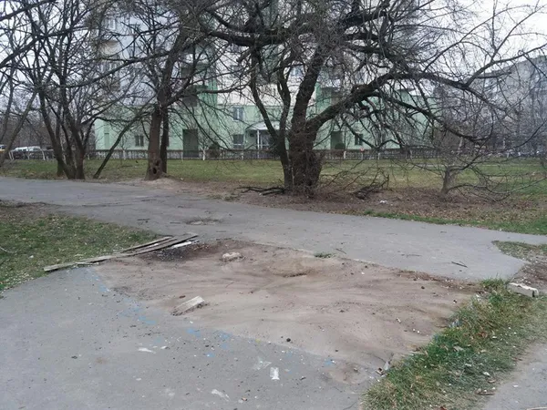 Хто й навіщо дозволив зрізати 18 дерев у Луцьку (фото)
