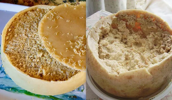 Сир із живими личинками