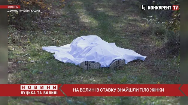 На Ковельщині зниклу жінку знайшли без ознак життя (фото, відео)