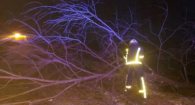 На Ковельщині дерево впало на дорогу й перекрило рух транспорту (фото)