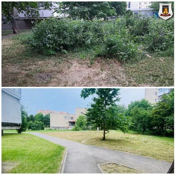 У Луцьку мунвартівці дали прочухана за траву (фото)