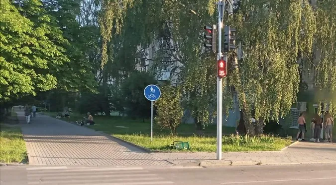 У Луцьку на «зебрі» збили 63-річного чоловіка – водій втік з місця ДТП (відео)