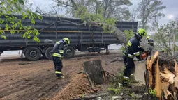 Буревій вбив двох людей і знеструмив 1121 населений пункт в Україні (фото)