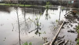 Відкачали понад 150 м³: у Ківерцях і Ковелі затопило двори (фото, відео)