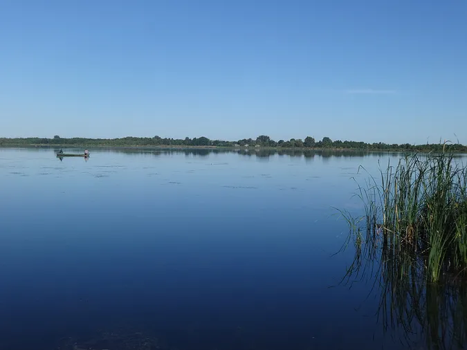 Мандрівник розповів про «чудо-юдо» на шляху до чистого озера на Волині (фото)