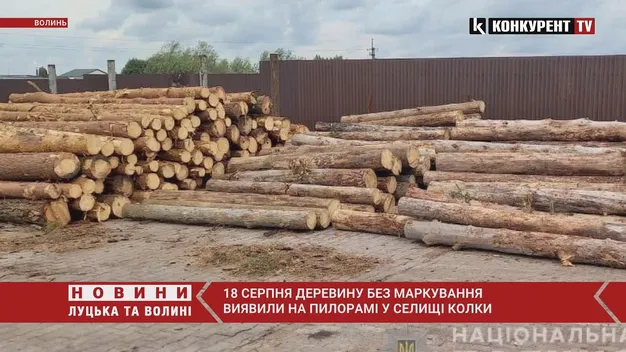 На пилорамі в Колках знайшли 15 «кубів» незаконної деревини (фото, відео)