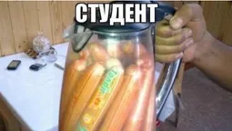 День студента: як про студентів жартують у інтернеті (меми)