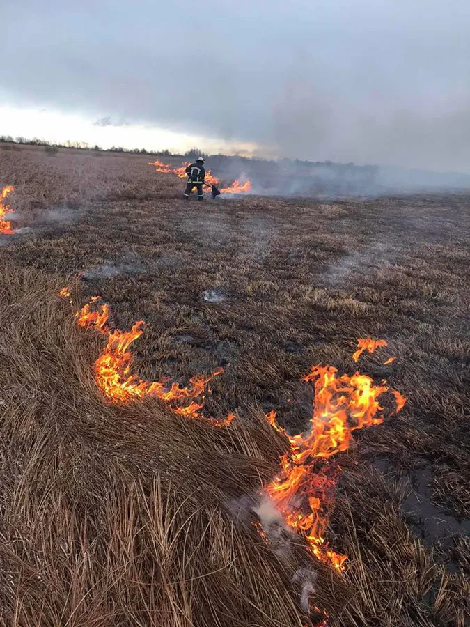 На Волині – масові пожежі: людей закликають не підпалювати суху траву