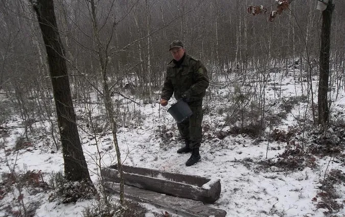 На Волині в лісгоспі встановили відеокамери