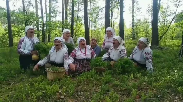 Як на Поліссі співають під час збору чорниць (відео)