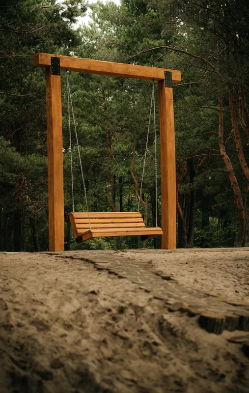 Магія лісу, озер і легенд: Шацький нацпарк кличе на прогулянки (локації)