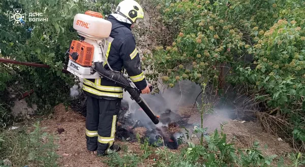 На Волині палають торфовища та суха трава: де зафіксували осередки займань