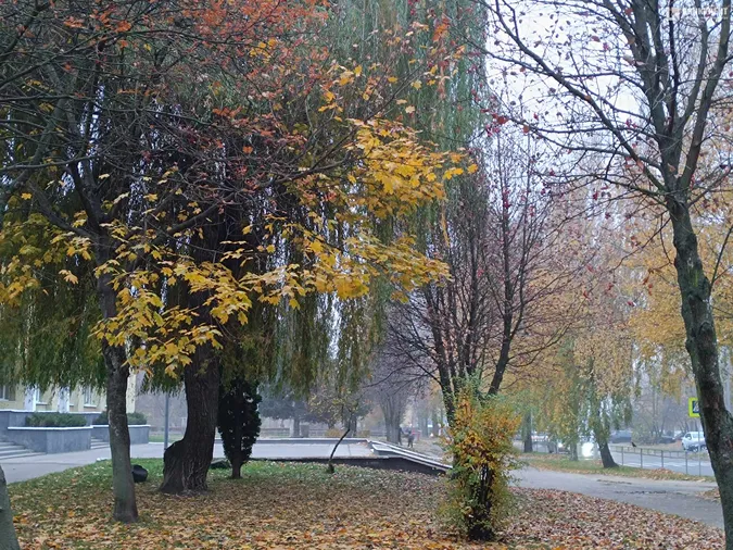 Луцьк знову втонув у тумані (фото)