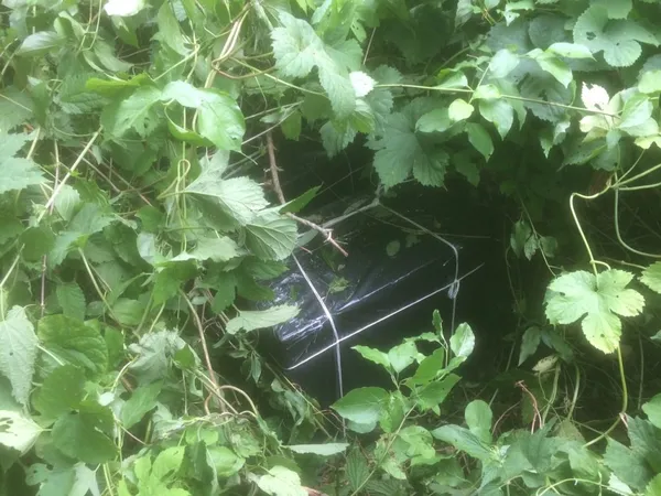 На Волині біля кордону знайшли 12 ящиків сигарет (фото)
