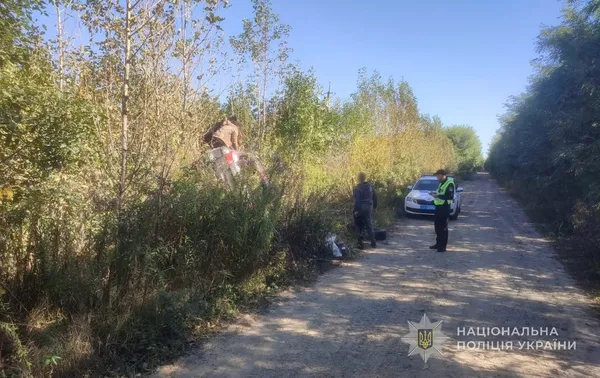 На Волині автівка з немовлям злетіла у кювет через п'яного водія