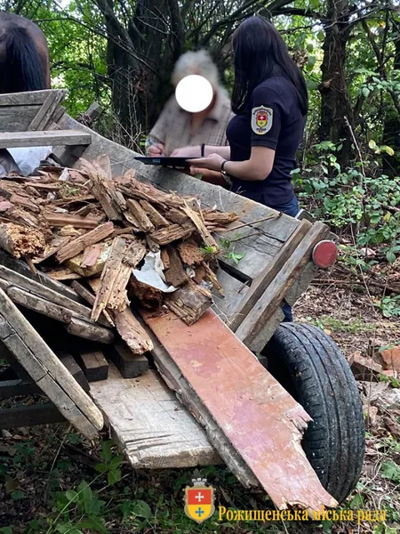 Не знали, куди дівати: у Рожищі вивезли сміття в лісосмугу (фотофакт)