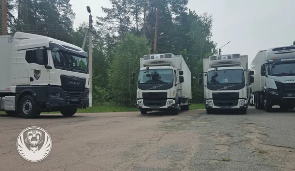 В Україну повернули 1212 тіл полеглих оборонців
