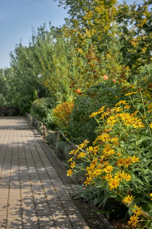 Неймовірний квітковий світ Луцького зоопарку (фото)