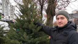 🌲У Луцьку запрацювали ялинкові ярмарки: де купити і скільки коштує (фото, відео)
