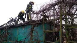 У дачному масиві на Волині згорів будинок: повідомили деталі (відео)
