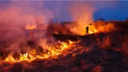 Горіли поля, очерет і торф: Волинь накрила хвиля масштабних пожеж (фото)