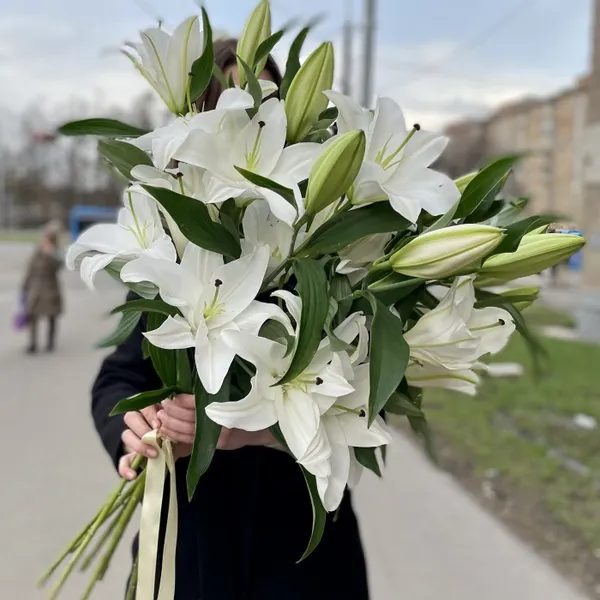 Лілії