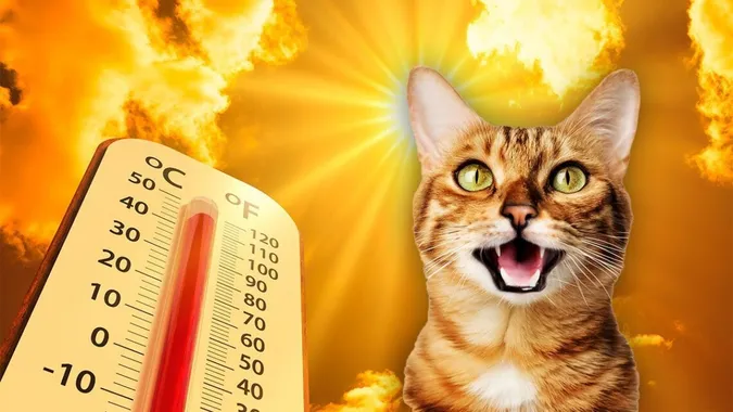 Спека до +29°: на Волинь насувається літнє тепло