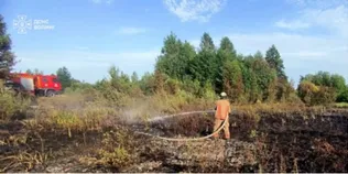 🔥 Випалили 3 гектари сухостою: на Волині гасили масштабні пожежі та спіймали палія (фото)
