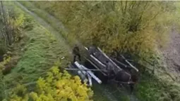 На Ківерцівщині за допомогою дрона зловили крадіїв лісу (відео)