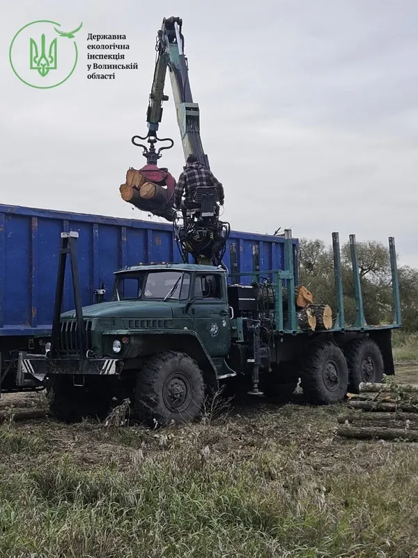 Пиляли, поки не приїхали інспектори: на Волині викрили незаконну рубку дерев (фото)