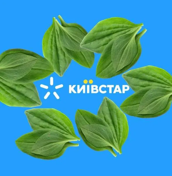 «Київстар» знову не працює